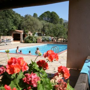 FKK-Urlaub U Furu Korsika - Pool mit Blumen