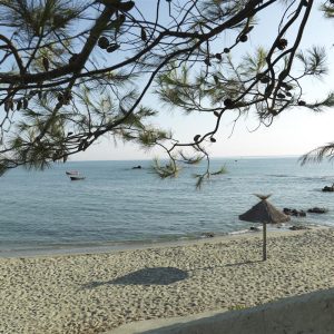 FKK-Urlaub mit MIRAMARE REISEN –Bagheera Korsika Frankreich - Strand mit Sonnenschirm